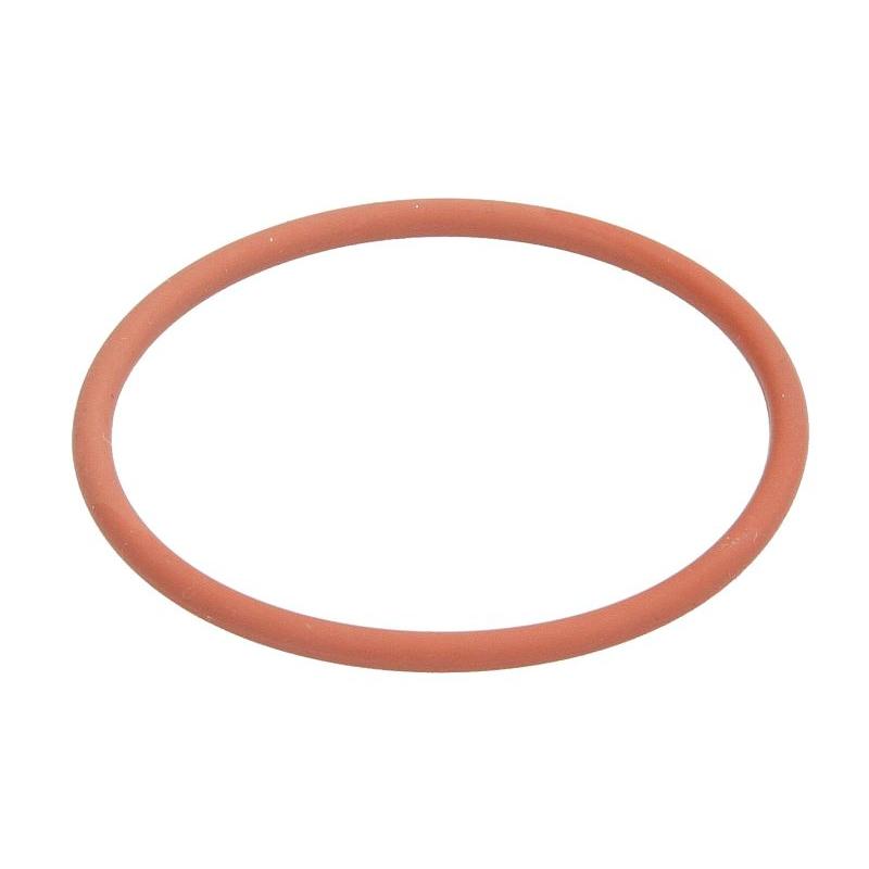 DELPHI 00-0071 Seal Ring