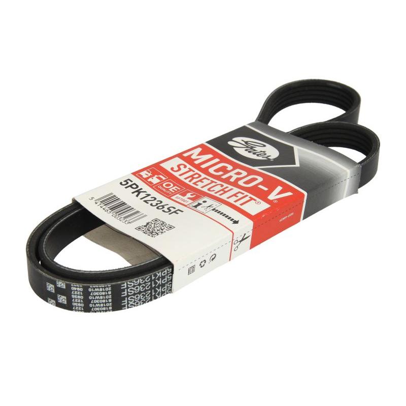 GATES GAT5PK1236SF V-Ribbed Belt