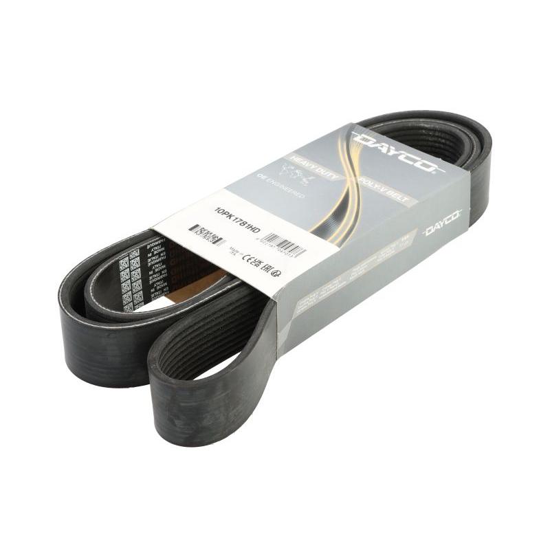 DAYCO DAY10PK1781HD V-Ribbed Belt