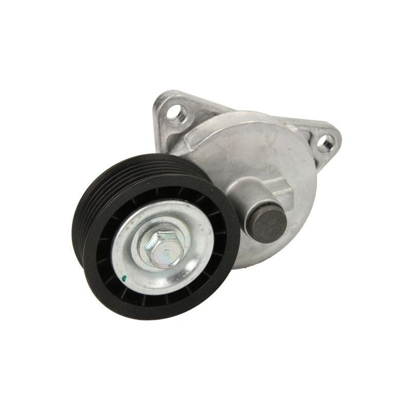 INA 534013020 V-Ribbed Belt Tensioner Lever