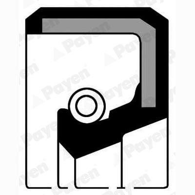 PAYEN NF634 Crankshaft Shaft Seal