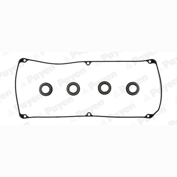 PAYEN HM5244 Cylinder Head Cover Gasket Set