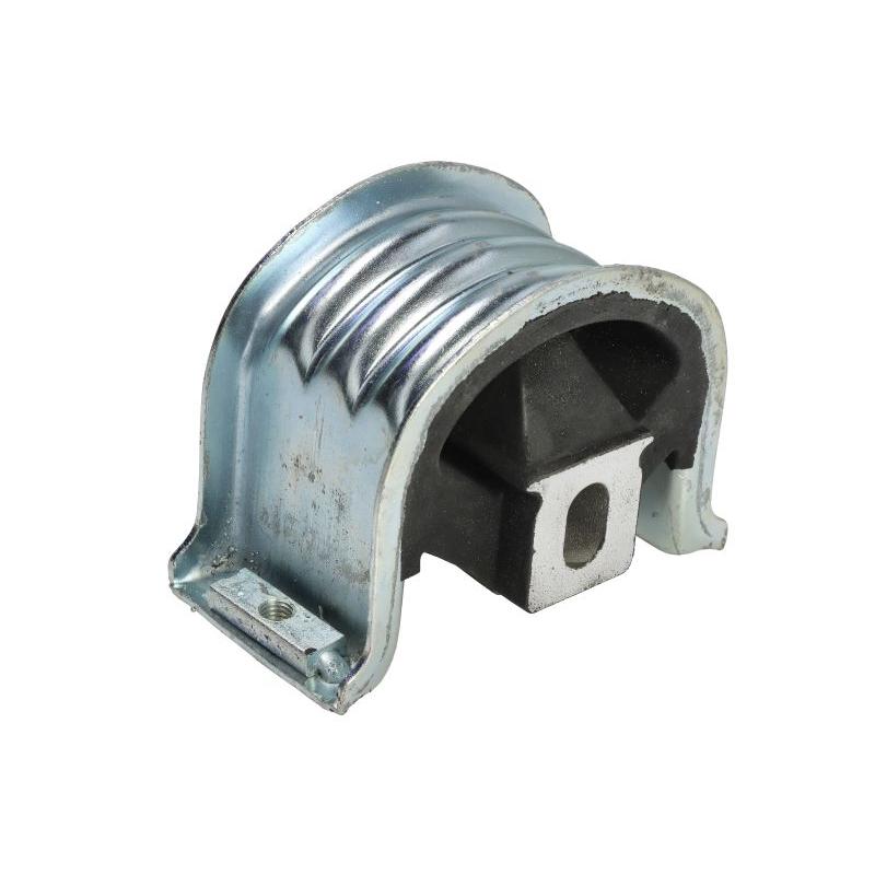 DELPHI TEM139 Engine Mount