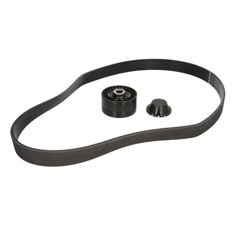 INA 529001610 V-Ribbed Belt Set