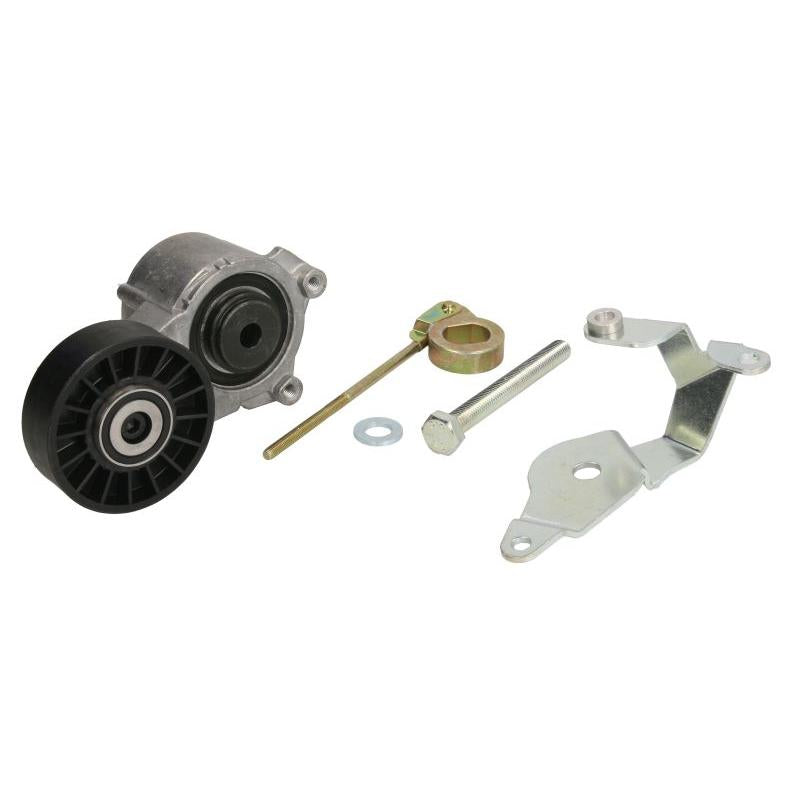 INA 534000710 V-Ribbed Belt Tensioner Lever