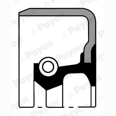 PAYEN NA5140 Crankshaft Shaft Seal