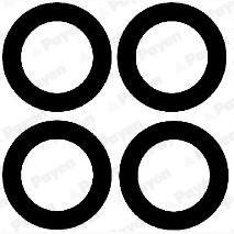 PAYEN HA5030 Intake Manifold Gasket Set