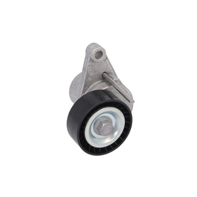 SKF VKM33074 V-Ribbed Belt Tensioner Pulley