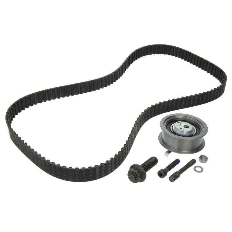 INA 530034310 Timing Belt Set