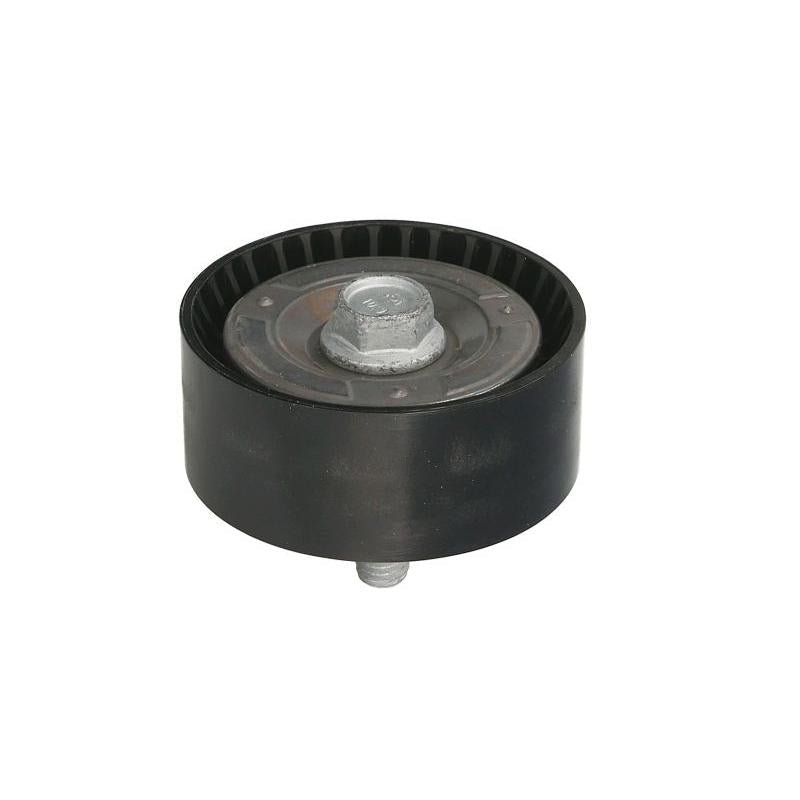 INA 532029810 V-Ribbed Belt Deflection/Guide Pulley