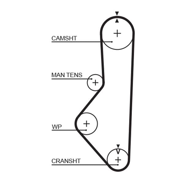 GATES GAT5085 Timing Belt
