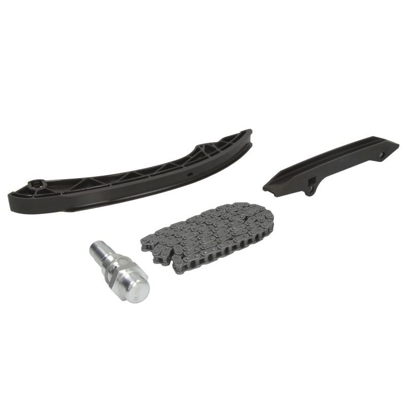 INA 559010010 Timing Chain Kit