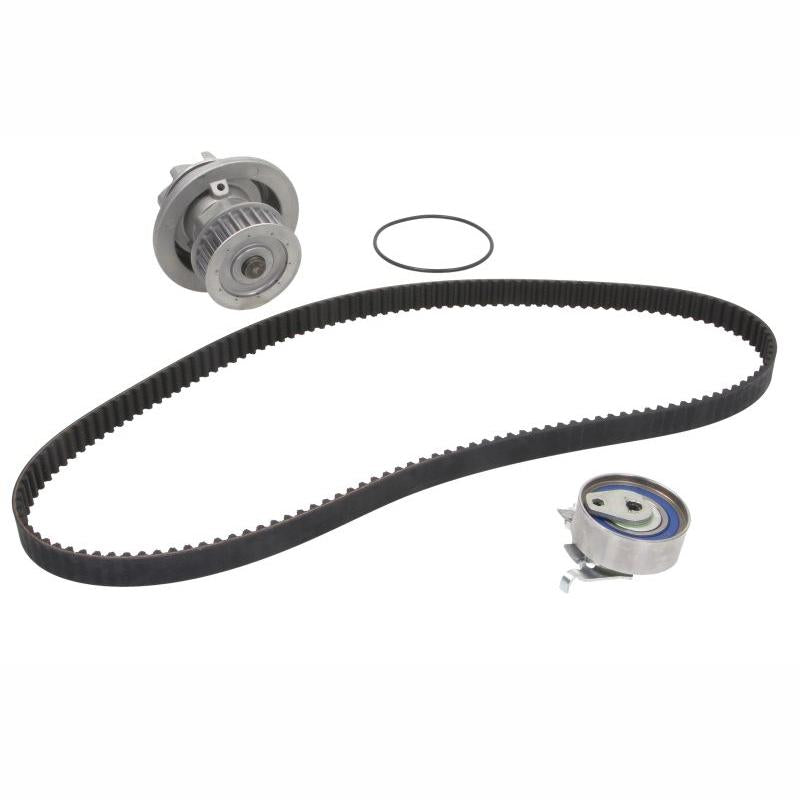 INA 530014730 Water Pump & Timing Belt Kit