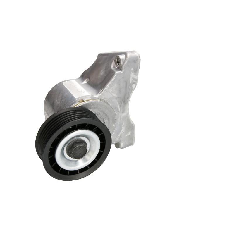 INA 534003210 V-Ribbed Belt Tensioner Lever