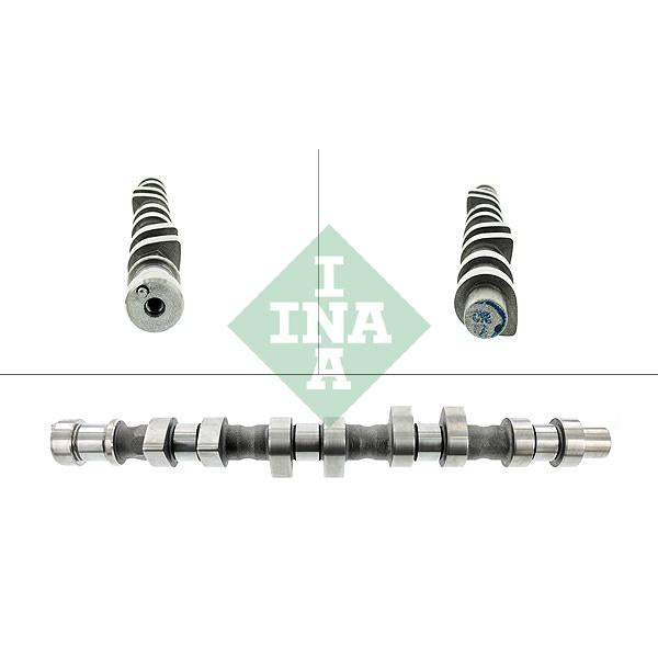 INA 428009310 Camshaft