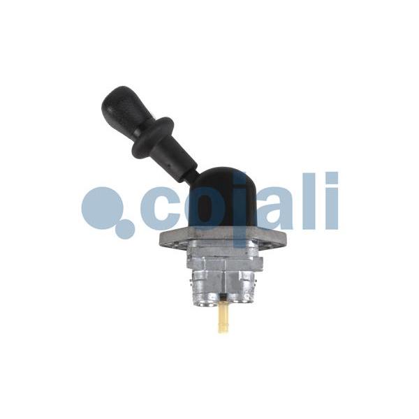 DELPHI BGK025 Brake Disc Bolt