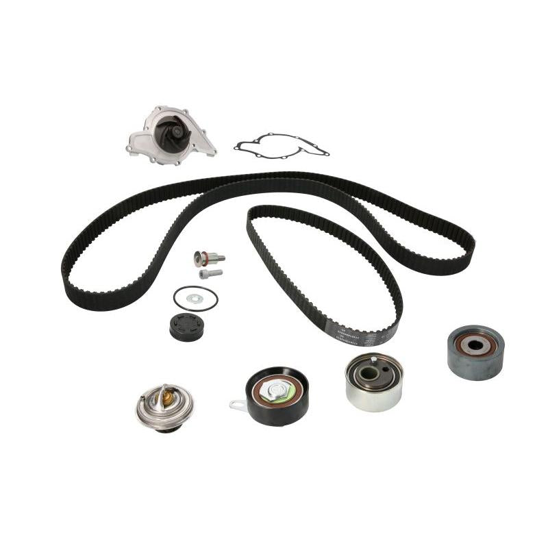 INA 530041631 Water Pump & Timing Belt Kit