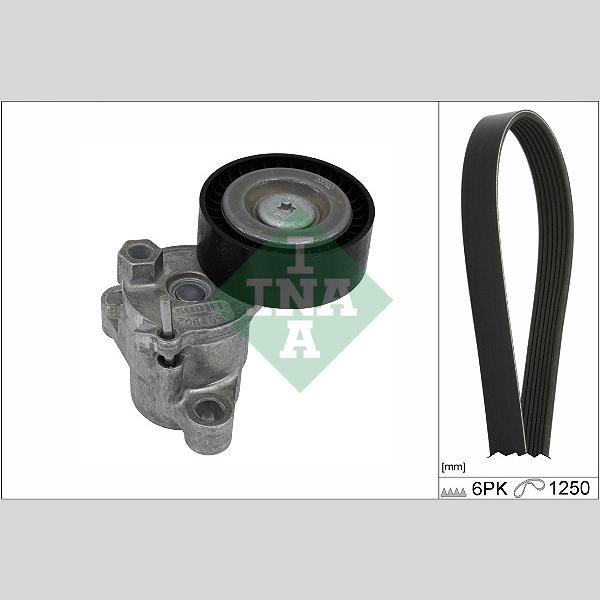 INA 529052410 V-Ribbed Belt Set