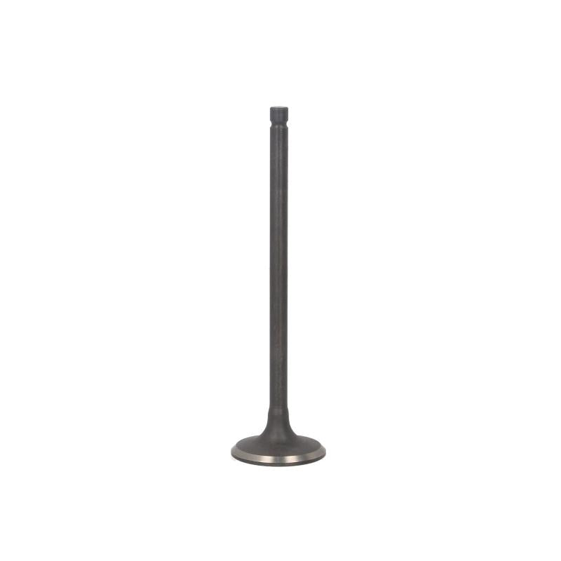 PARADOWSCY PSUZ023 Intake Valve
