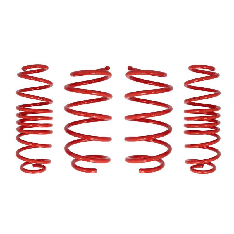 COBRA 28.9940.C Suspension Springs Set