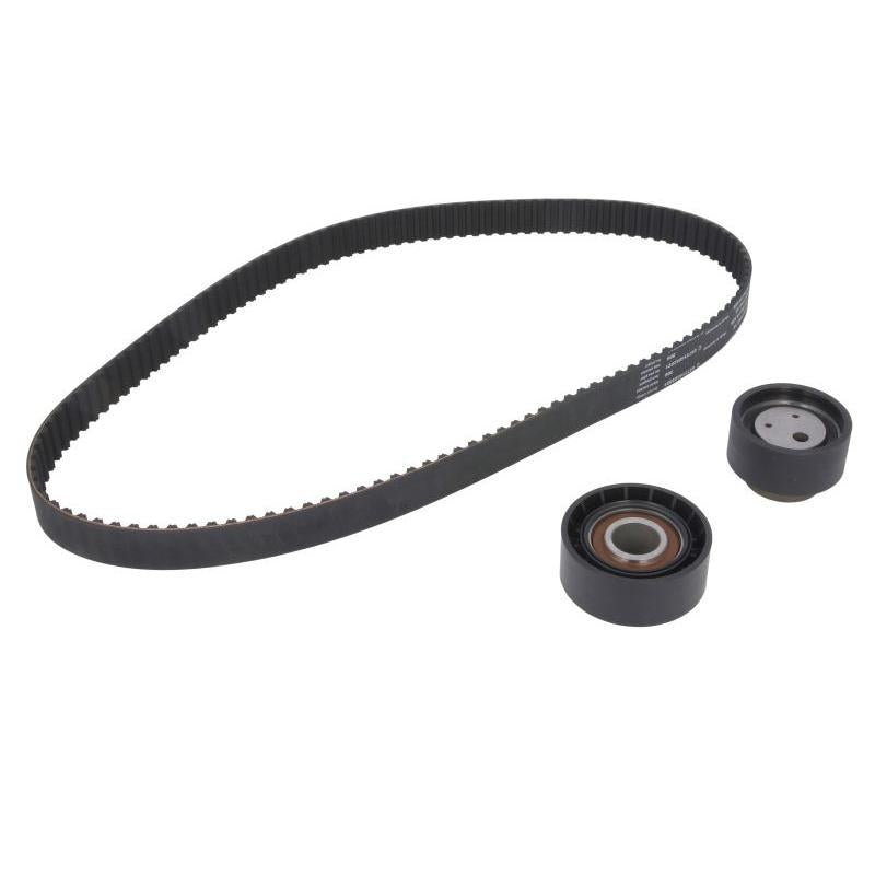 INA 530016010 Timing Belt Set