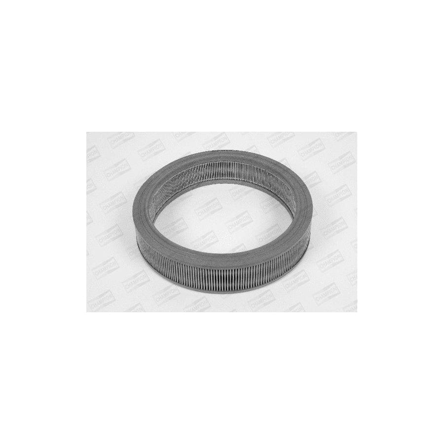Champion W118/606 Air Filter