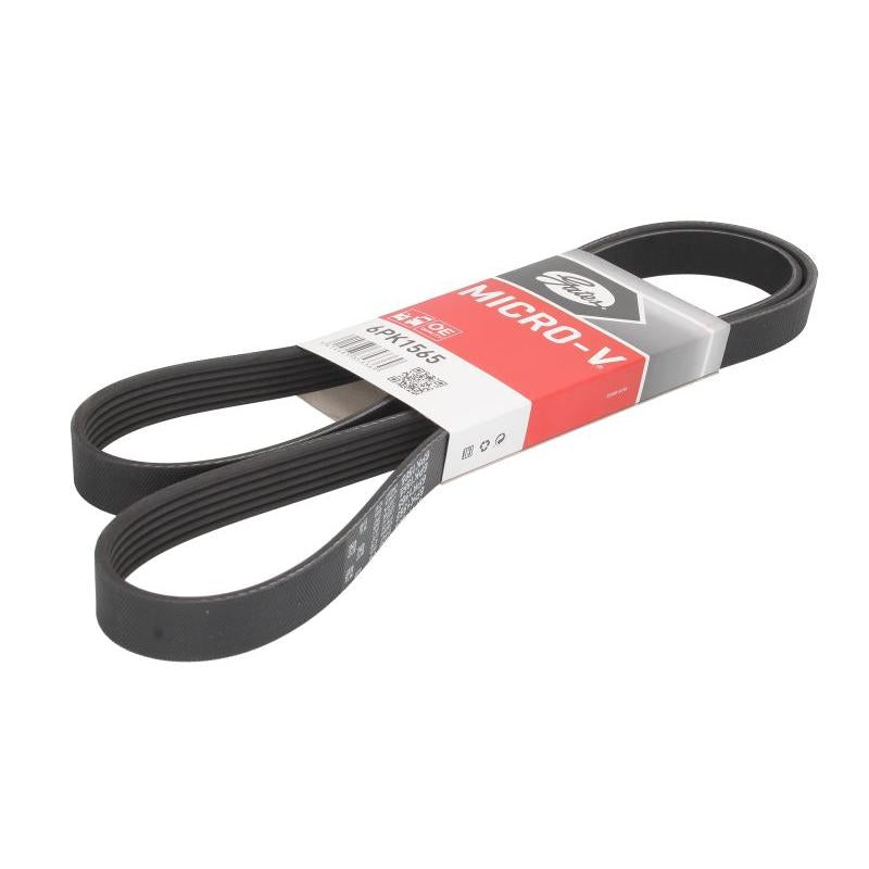 GATES GAT6PK1565 V-Ribbed Belt