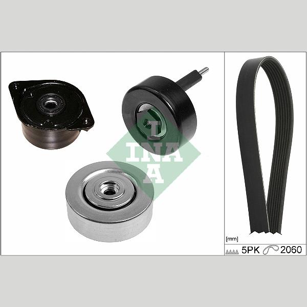 INA 529041410 V-Ribbed Belt Set