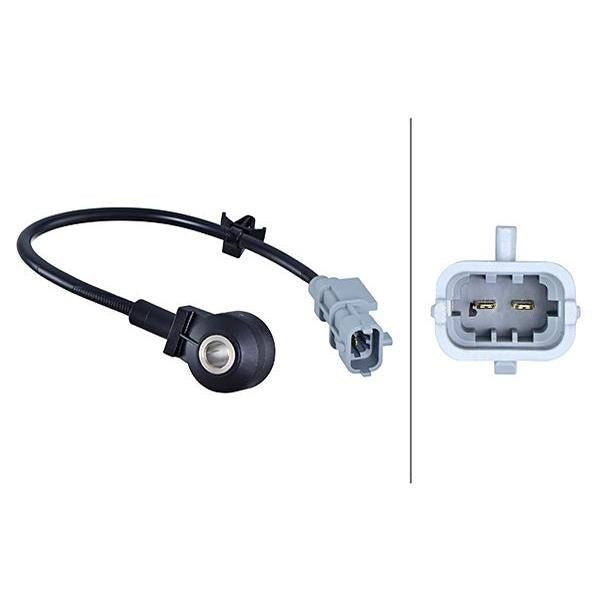 HELLA 114-381 Knock Sensor