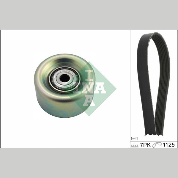 INA 529023110 V-Ribbed Belt Set