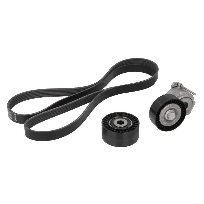 INA 529015810 V-Ribbed Belt Set