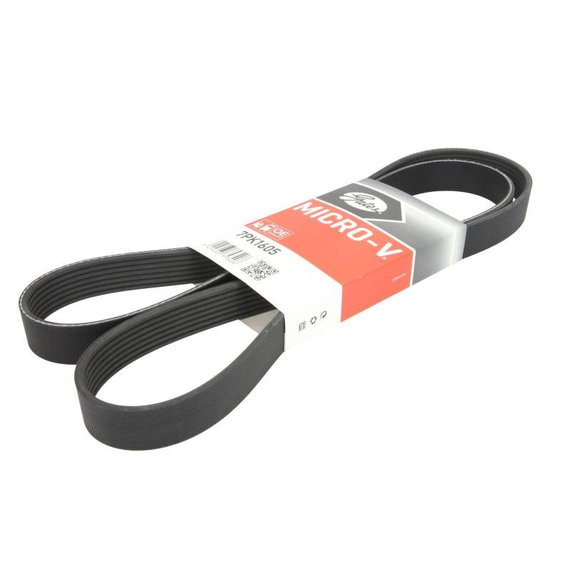 GATES GAT7PK1605 V-Ribbed Belt