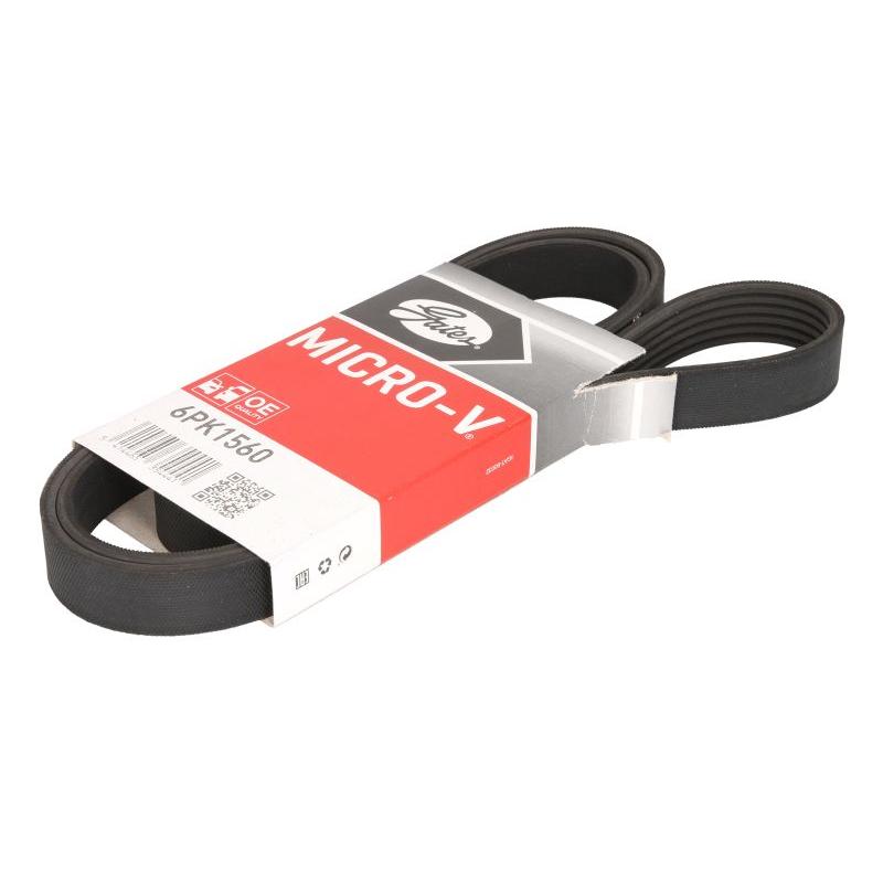GATES GAT6PK1560 V-Ribbed Belt
