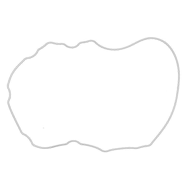OE JOHN DEERE R524468-JD Cylinder Head Cover Gasket