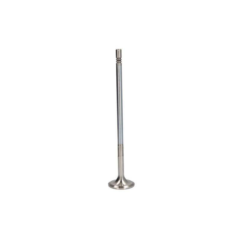 TRW 48310 Intake Valve