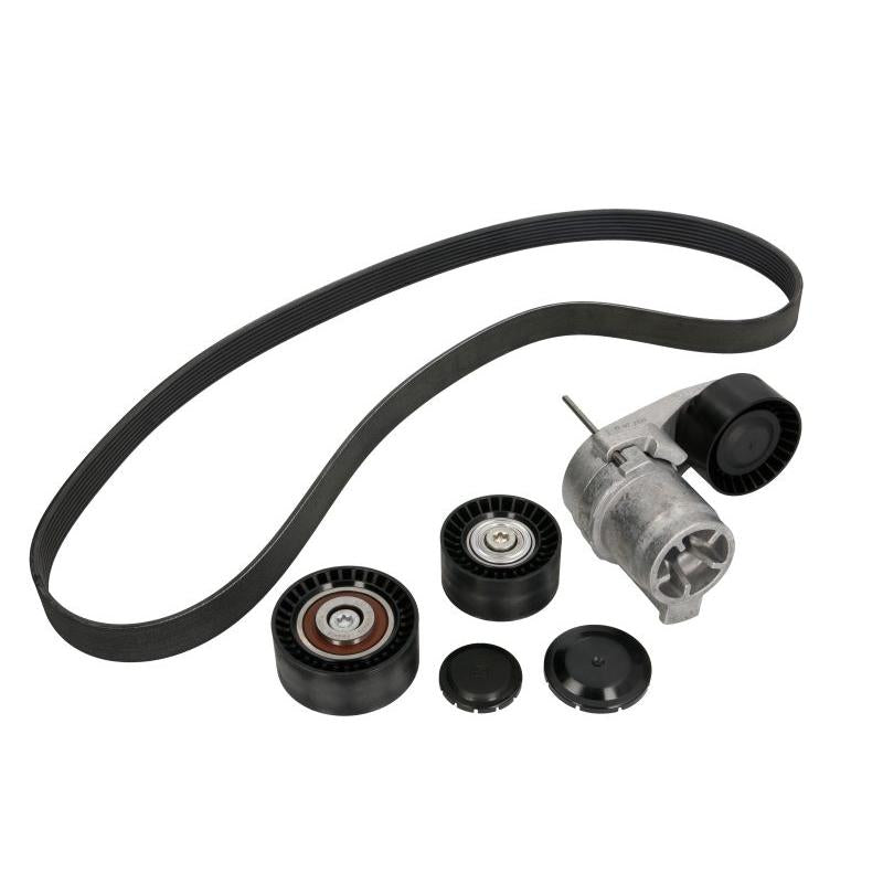 INA 529021110 V-Ribbed Belt Set