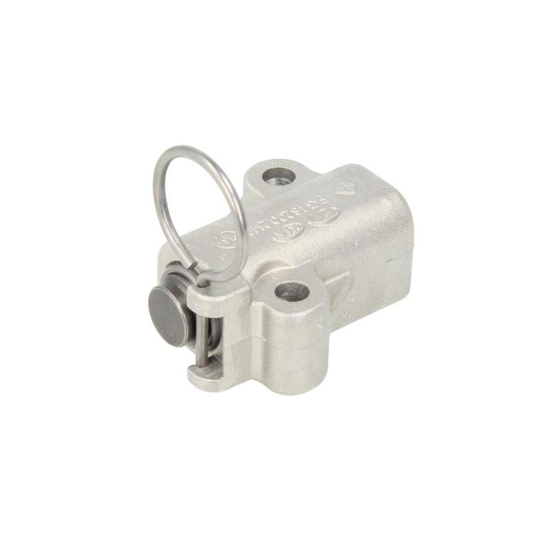 INA 551003310 Timing Chain Tensioner