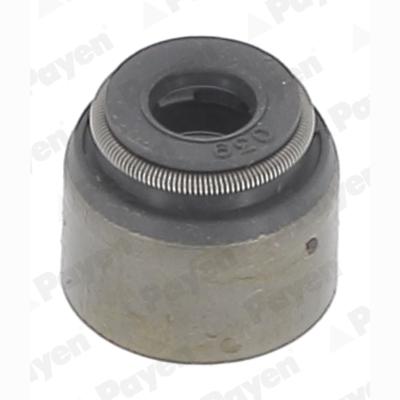PAYEN PA6055 Valve Stem Gasket/Seal