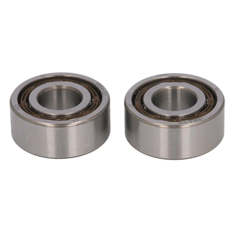 HOT RODS BBK0012 Balancing Shaft Bearing