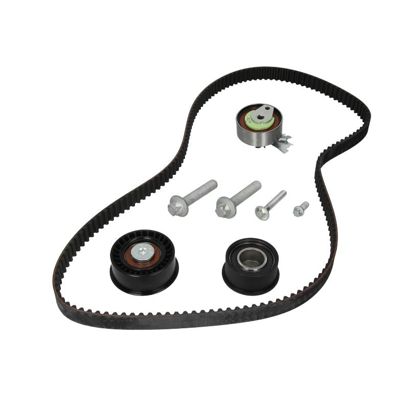 INA 530044310 Timing Belt Set