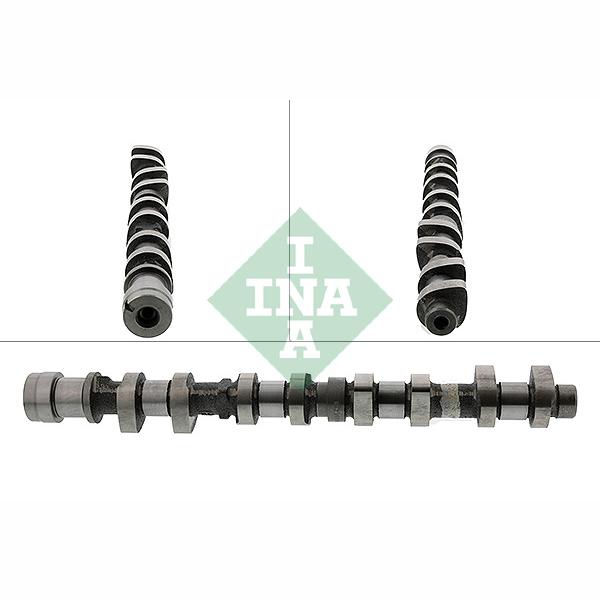 INA 428011410 Camshaft