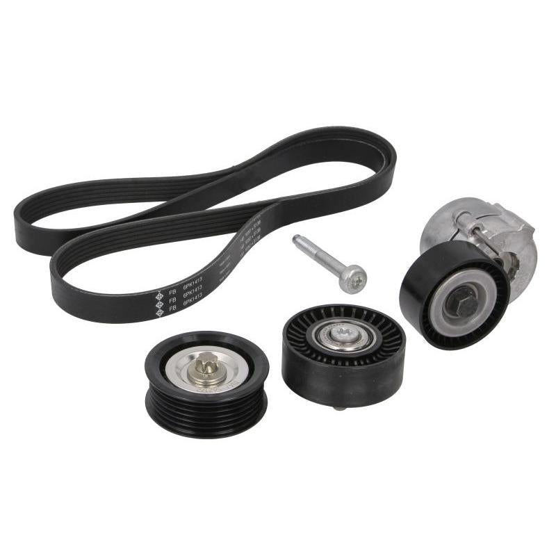 INA 529030410 V-Ribbed Belt Set