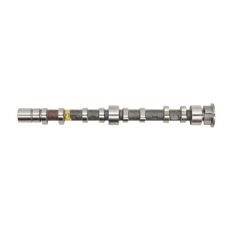 KOLBENSCHMIDT 50007019 Camshaft