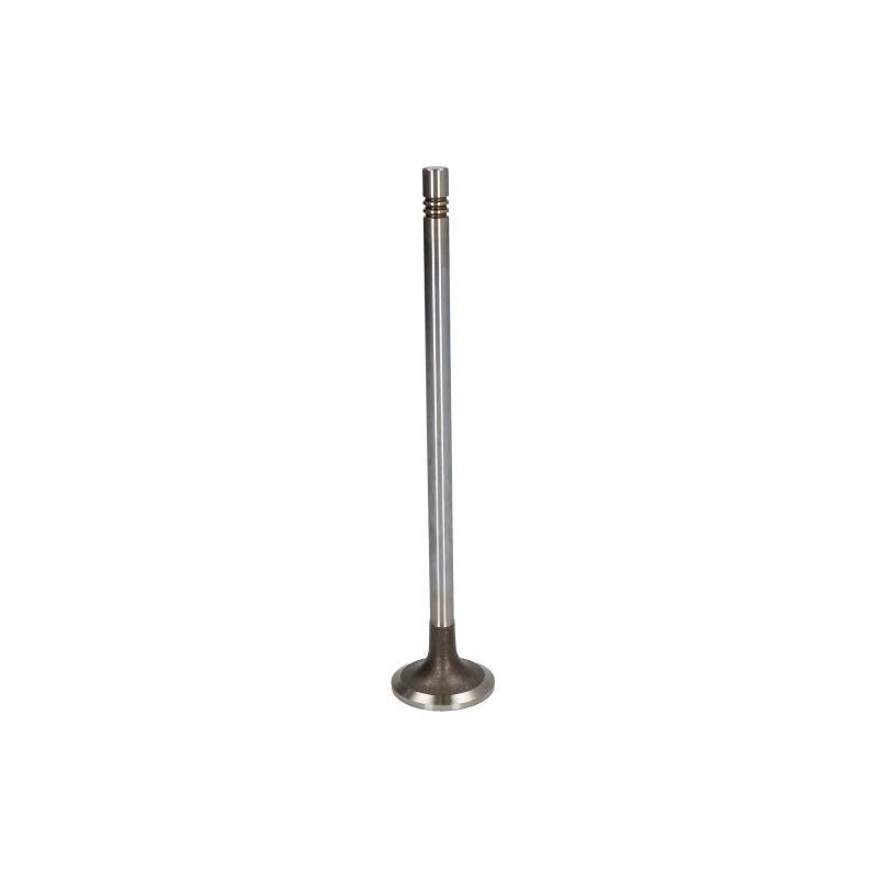 TRW 105-35661 Exhaust Valve