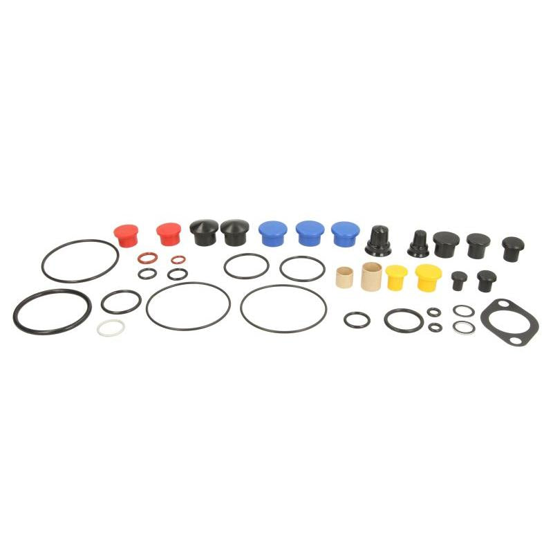 DENSO 09-0110 Common Rail System Repair Kit