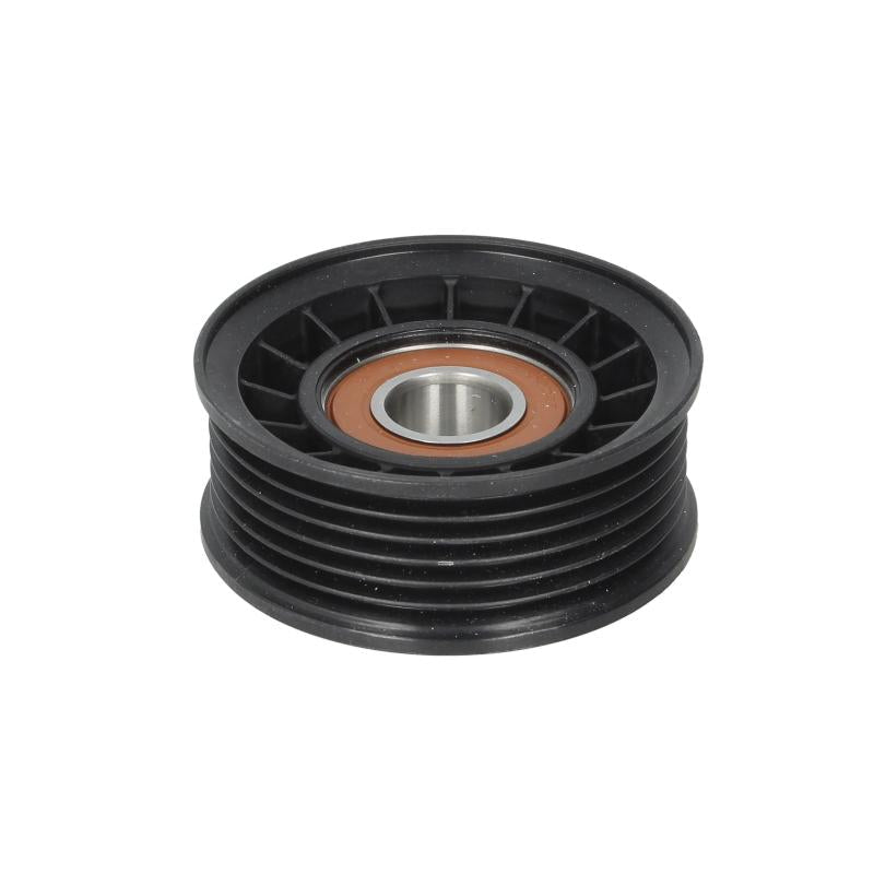 INA 532064910 V-Ribbed Belt Deflection/Guide Pulley