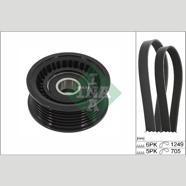 INA 529045110 V-Ribbed Belt Set