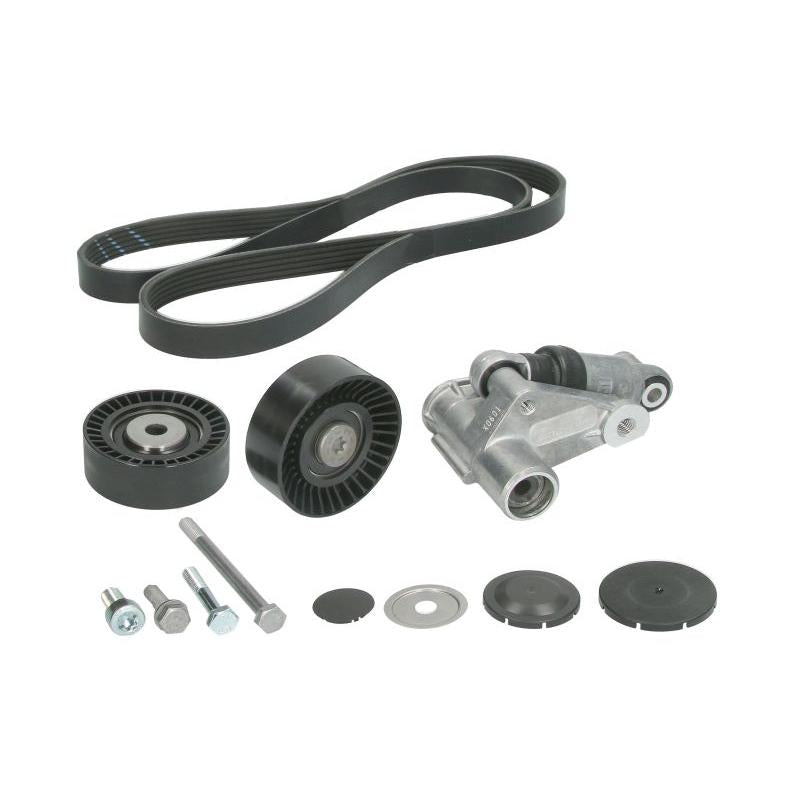 INA 529019810 V-Ribbed Belt Set