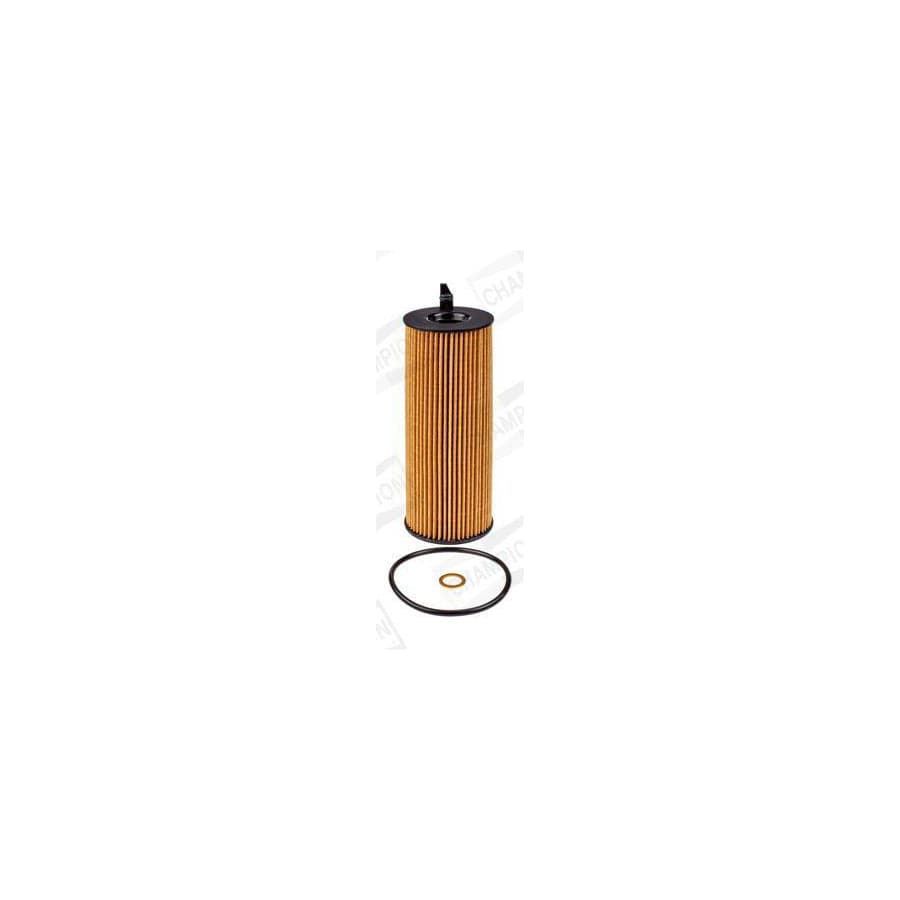 Champion Cof100579E Oil Filter