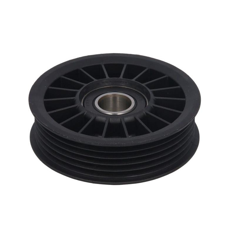 INA 531074510 V-Ribbed Belt Tensioner Pulley